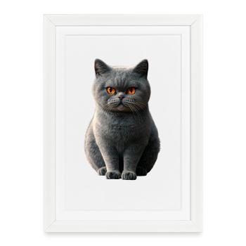 British Shorthair Cat BKH Cat Mom Cute Cats - Framed poster (27 × 37 cm) - white - Front