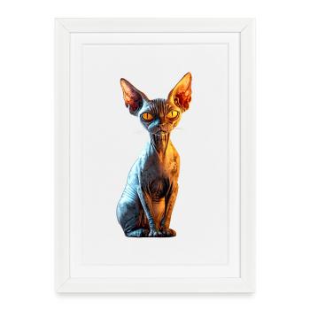 Chat Sphynx Chat Sphynx Chat Canadien Mignon Sphinx - Affiche encadrée (27 × 37 cm) - blanc - Devant