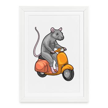 Trottinette Rat - Affiche encadrée (27 × 37 cm) - blanc - Devant