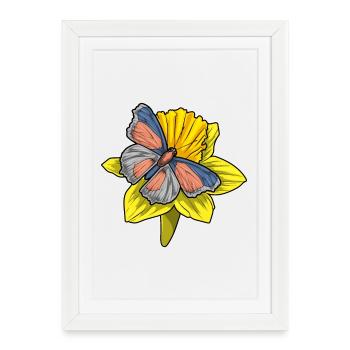 Butterfly Daffodil - Framed poster (27 × 37 cm) - white - Front