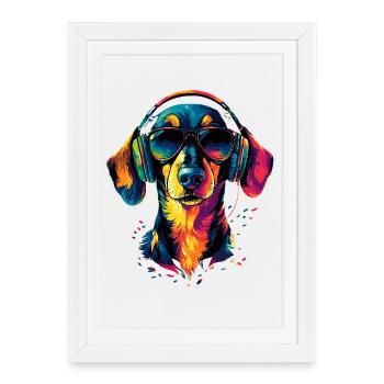 Teckel, Teckel, Teckel miniature, Dachshund Club, Teckel - Affiche encadrée (27 × 37 cm) - blanc - Devant