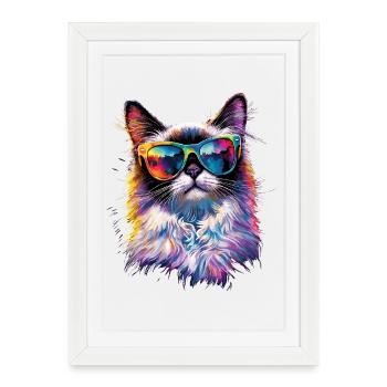 Chat Ragdoll Chat Ragdoll Chat Mignon Chats Ragdoll - Affiche encadrée (27 × 37 cm) - blanc - Devant