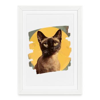 Birman Birmanie Chat Rétro - Affiche encadrée (27 × 37 cm) - blanc - Devant