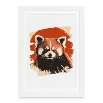 Red panda - Framed poster (27 × 37 cm) - white - Front