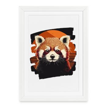 Red panda - Framed poster (27 × 37 cm) - white - Front