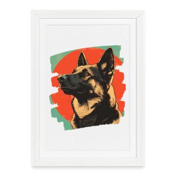 Chien de berger - Affiche encadrée (27 × 37 cm) - blanc - Devant