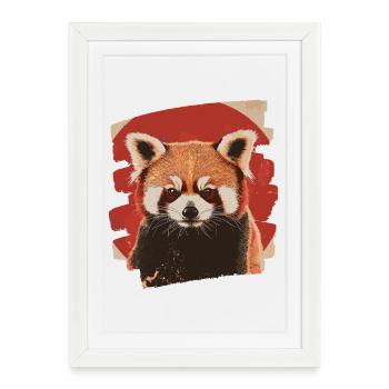 Petit panda - Affiche encadrée (27 × 37 cm) - blanc - Devant