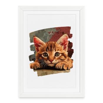 Kitten - Framed poster (27 × 37 cm) - white - Front