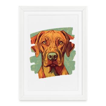 Rhodésian Ridgeback - Affiche encadrée (27 × 37 cm) - blanc - Devant