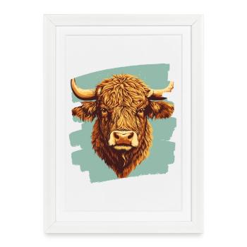 Bovins écossais des Highlands - Affiche encadrée (27 × 37 cm) - blanc - Devant