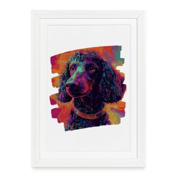 Caniche - Affiche encadrée (27 × 37 cm) - blanc - Devant
