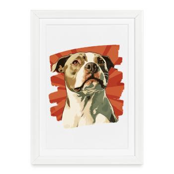 Staffordshire américain - Affiche encadrée (27 × 37 cm) - blanc - Devant