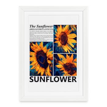 Tournesol Nature Fleurs Botaniques d’Été Cadeau - Affiche encadrée (27 × 37 cm) - blanc - Devant