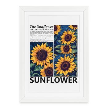 Fleurs de tournesol Botanique d’été Nature Cadeau - Affiche encadrée (27 × 37 cm) - blanc - Devant