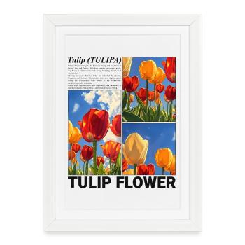 Tulipe Printemps Nature Fleur Cadeau Botanique - Affiche encadrée (27 × 37 cm) - blanc - Devant