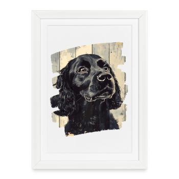 Cocker Spaniel - Framed poster (27 × 37 cm) - white - Front