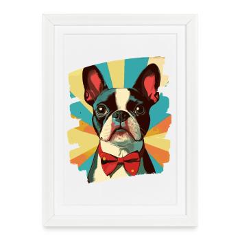 Boston Terrier - Affiche encadrée (27 × 37 cm) - blanc - Devant