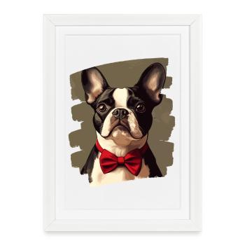 Boston Terrier - Affiche encadrée (27 × 37 cm) - blanc - Devant