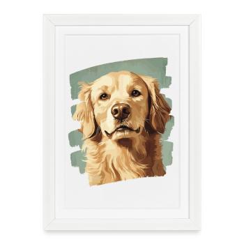 Golden retriever - Affiche encadrée (27 × 37 cm) - blanc - Devant
