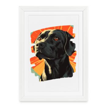 Labrador - Affiche encadrée (27 × 37 cm) - blanc - Devant