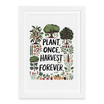 Plant Once, Harvest Forever - Permaculture Design - Framed poster (27 × 37 cm) - white - Front