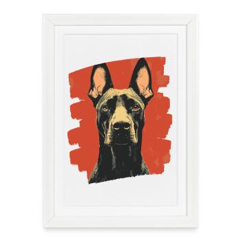 Doberman - Affiche encadrée (27 × 37 cm) - blanc - Devant