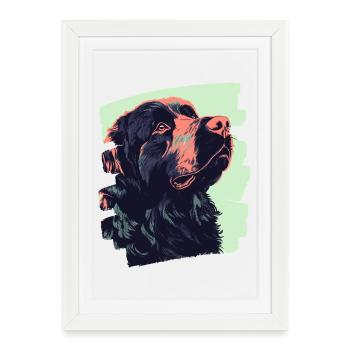 Newfoundland - Framed poster (27 × 37 cm) - white - Front