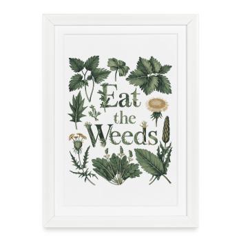 Mangez les mauvaises herbes - Herboristerie Plante sauvage Art - Affiche encadrée (27 × 37 cm) - blanc - Devant