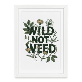 Wild Not Weed - Botanique Cueillette Nature Art - Affiche encadrée (27 × 37 cm) - blanc - Devant