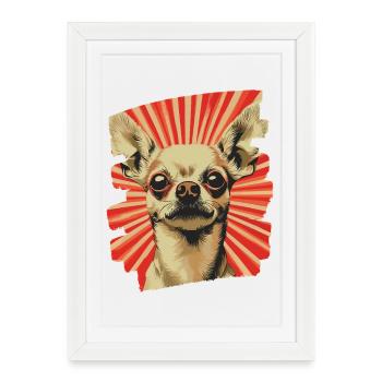 Chihuahua - Affiche encadrée (27 × 37 cm) - blanc - Devant