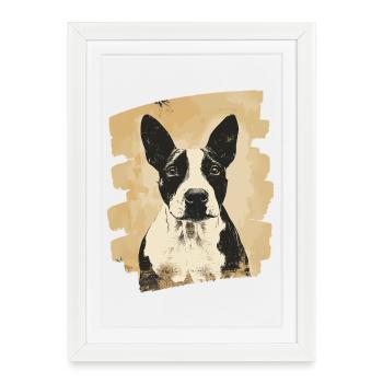 Bull Terrier Chien de combat Race de chien - Affiche encadrée (27 × 37 cm) - blanc - Devant
