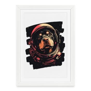 Rottweiler Astronaute - Affiche encadrée (27 × 37 cm) - blanc - Devant