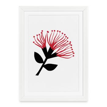 Fleur de Pohutukawa , Nouvelle-Zélande - Affiche encadrée (27 × 37 cm) - blanc - Devant
