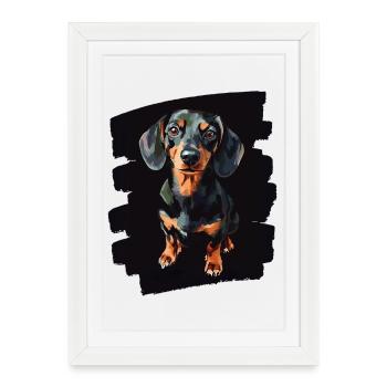 Teckel - Affiche encadrée (27 × 37 cm) - blanc - Devant