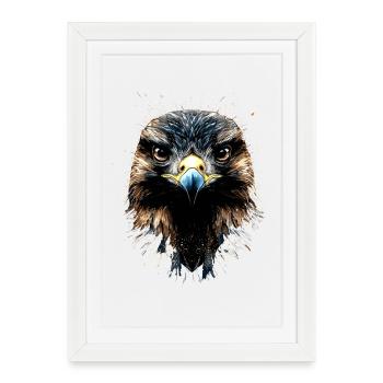 Faucon crécerelle Faucon Chasse Faucon pèlerin Faucon mignon - Affiche encadrée (27 × 37 cm) - blanc - Devant