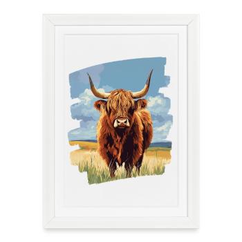 Bovins écossais des Highlands - Affiche encadrée (27 × 37 cm) - blanc - Devant