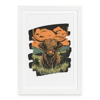 Bovins écossais des Highlands - Affiche encadrée (27 × 37 cm) - blanc - Devant