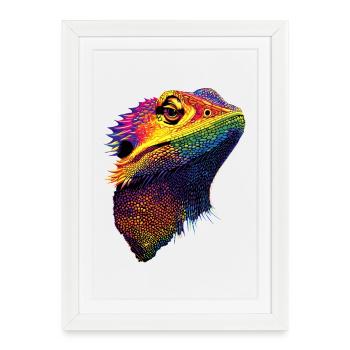 Dragon barbu lézard Dragon barbu Dragons barbus mignons - Affiche encadrée (27 × 37 cm) - blanc - Devant