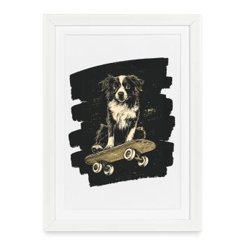 Boarder Collie chien sur planche à roulettes - Affiche encadrée (27 × 37 cm) - blanc - Devant