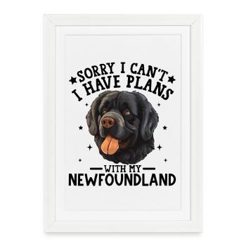 Illustration d'un charmant chien labrador noir - Affiche encadrée (27 × 37 cm) - blanc - Devant