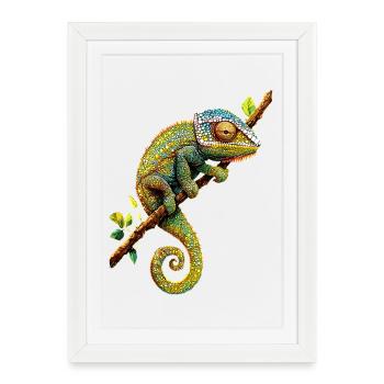 Caméléon Lézard Reptile Caméléon Iguane Lézard - Affiche encadrée (27 × 37 cm) - blanc - Devant