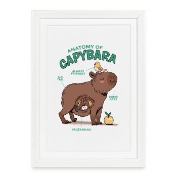 Anatomie du Capybara Illustration Amusante - Affiche encadrée (27 × 37 cm) - blanc - Devant