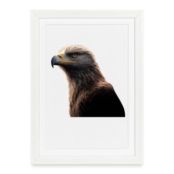 Eagle Bald Eagle Golden Eagle White-tailed Eagle - Framed poster (27 × 37 cm) - white - Front