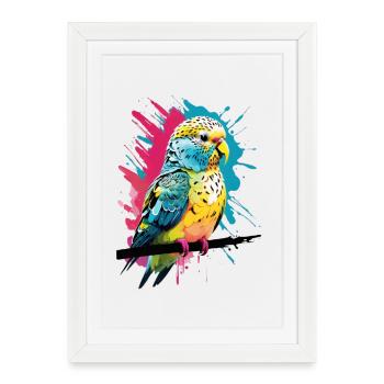 Colorful parrot with color splashes - Framed poster (27 × 37 cm) - white - Front