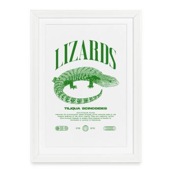 Langue Bleue Scinque Reptile Keeper Streetwear - Affiche encadrée (27 × 37 cm) - blanc - Devant