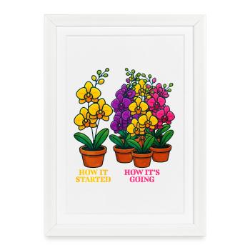 Art floral : développement et croissance - Affiche encadrée (27 × 37 cm) - blanc - Devant