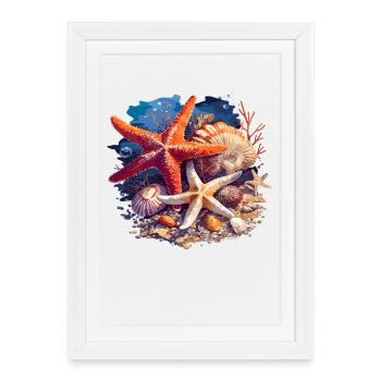 Étoile de mer Étoile de mer - Affiche encadrée (27 × 37 cm) - blanc - Devant