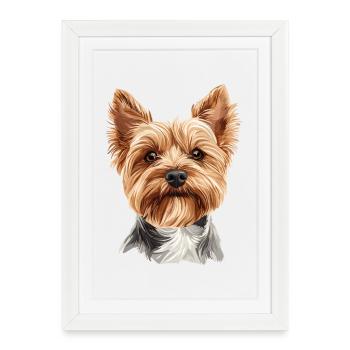 Portrait de Yorkshire Terrier de haute qualité - Affiche encadrée (27 × 37 cm) - blanc - Devant