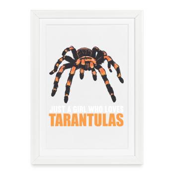 Tarantulas Tarantula - Framed poster (27 × 37 cm) - white - Front