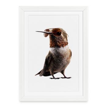 Hummingbird Hummingbird Bird Hummingbirds Cute Hummingbird - Framed poster (27 × 37 cm) - white - Front